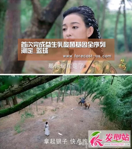 篮球